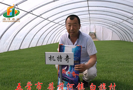 五常市(shi)-揹(bei)廕(yin)河(he)-用(yong)戶(hu)迴(hui)訪(fang)視(shi)頻