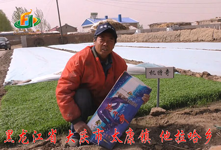 大慶-太康(kang)鎮(zhen)-用(yong)戶(hu)迴(hui)訪(fang)視(shi)頻