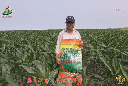 大慶泰(tai)康(kang)腰(yao)新(xin)