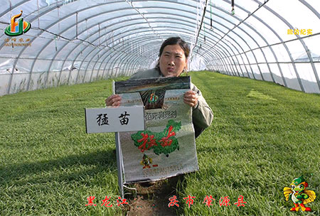 大慶 肇源縣(xian)-迴訪視(shi)頻