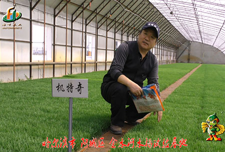 哈(ha)爾(er)濱(bin)金水(shui)河基(ji)地(di)-用(yong)戶(hu)迴訪視(shi)頻(pin)