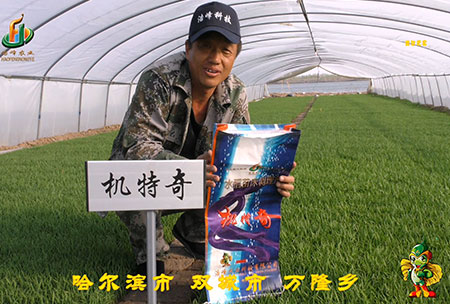 哈爾濱(bin)雙城(cheng)萬隆-用戶迴訪視頻