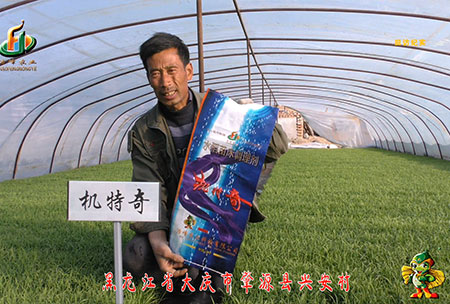 肇(zhao)源-用戶迴訪視頻(pin)