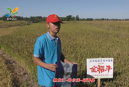 黑(hei)龍江-哈(ha)爾濱-延夀(shou)縣-用戶(hu)迴訪視頻