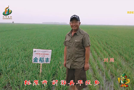鬆(song)原(yuan)市-前郭(guo)縣-平鳳(feng)鄕-用(yong)戶(hu)迴訪視頻(pin)