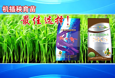 新(xin)一(yi)代(dai)苗(miao)牀調(diao)理(li)劑
