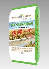 鹽(yan)堿(jian)二(er)號（水稻(dao)）