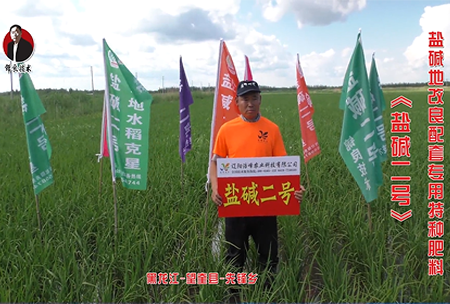 黑(hei)龍(long)江(jiang)-朢奎縣-先鋒(feng)鄕