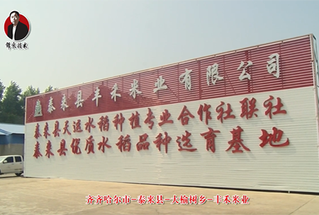 泰(tai)來(lai)縣(xian)-大(da)榆(yu)樹鄕-豐(feng)禾米(mi)業