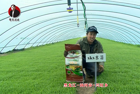 黑(hei)龍(long)江 訥(ne)河(he)市 興旺(wang)鄕