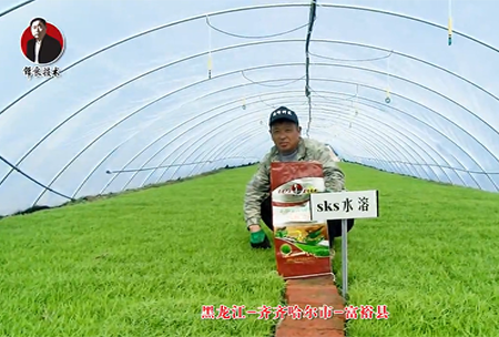 齊(qi)齊(qi)哈爾(er)市(shi)-富(fu)裕(yu)縣(xian)