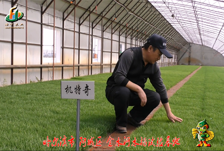 哈(ha)爾(er)濱(bin)金水河(he)基(ji)地0