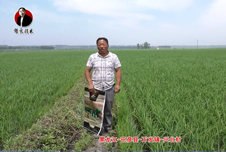 巴彥(yan)縣-萬髮鎮(zhen)-興北(bei)邨